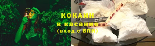 ПСИЛОЦИБИНОВЫЕ ГРИБЫ Арсеньев