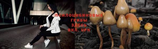 шишки Балабаново