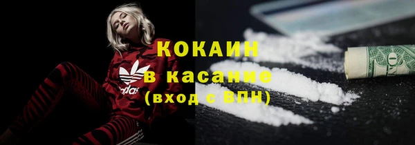 шишки Балабаново