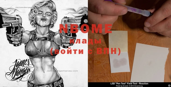 ПСИЛОЦИБИНОВЫЕ ГРИБЫ Арсеньев